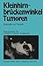Kleinhirnbrückenwinkel-Tumoren: Diagnostik und Therapie (German Edition)