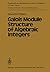 Galois Module Structure of Algebraic Integers (Ergebnisse der Mathematik und ihrer Grenzgebiete. 3. Folge / A Series of Modern Surveys in Mathematics)