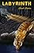 Labyrinth
