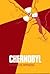Chernobyl: A Technical Appraisal : Proceedings