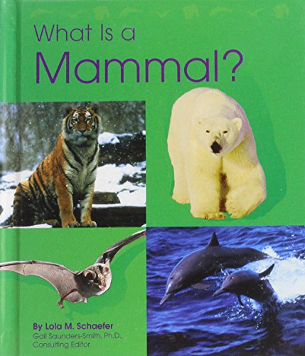 What Is a Fish? (Pebble Books)