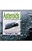 Asteroids (Galaxy)