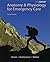 Anatomy & Physiology for Emergency Care & Student Workbook Pa... by William C. Ober