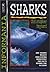 Informania Sharks