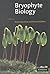 Bryophyte Biology