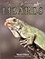 Lizards