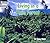 Living in a Rain Forest (Welcome Books: Communities)