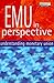 EMU in Perspective: Underst...