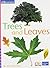 Iopeners Trees and Leaves Single Grade K 2005c
