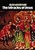 The Miracles of Jesus