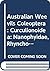 Australian Weevils (Coleopt...