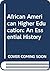 African American Higher Education: An Essential History