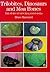 Trilobites, dinosaurs, and moa bones by Bruce W. Hayward