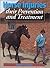 Horse Injuries: Their Prevention and Treatment