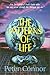 The Patterns of Life by Peter Connor