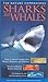 Sharks and Whales (Nature Companions)