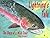 Lightning's Tale: The Story of a Wild Trout