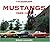 Mustangs 1965-1973: A Collector's Guide