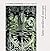 Later Medieval Europe (History of Architecture)