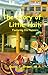 The History of Little Haiti by David C. Brown