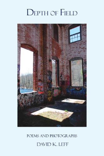 Depth of Field (Paperback)