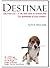 Destinae