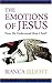 The Emotions Of Jesus