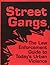 Street Gangs: The Law Enforcement Guide to Today's Urban Violence