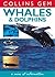 Whales and Dolphins