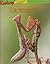 La mantis / The Mantis (Rea...