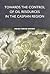 Towards the Control of Oil Resources in the Caspian Region (Politikwissenschaft)
