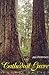 Cathedral Grove