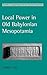 Local Power in Old Babylonian Mesopotamia by Andrea Seri