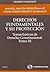 Derechos fundamentales y su protección. Temas básicos de Derecho Constitucional. Tomo III