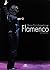 Breve Enciclopedia del Flamenco (Spanish Edition)