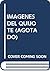 Imagenes del Quijote: Modelos de Representacion En Las Ediciones de Los Siglos XVII a XIX (Spanish Edition)