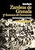 Zambras de Granada y flamencos del Sacromonte: Una historia flamenca en Granada