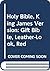 Holy Bible, King James Version: Gift Bible, Leather-Look, Red