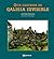 Guía ilustrada da Galicia invisible by Antonio Reigosa