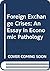 Foreign Exchange Crises; An Essay in Economic Pathology