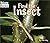 Find the Insect (WELCOME BOOKS: HIDE AND SEEK)