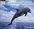 Bottlenose Dolphin (Welcome Books)