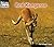 Red Kangaroo (Welcome Books)