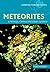 Meteorites: A Petrologic, Chemical and Isotopic Synthesis (Cambridge Planetary Science, Series Number 2)