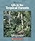 Life In The Tropical Forests (Watts Library)