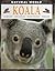 Koala: Habitats, Life Cycle...