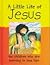 A Little Life of Jesus
