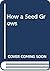 How a Seed Grows