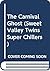 The Carnival Ghost (Sweet Valley Twins Super Chillers)