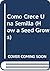Como Crece Una Semilla (How a Seed Grows) (Spanish and English Edition)